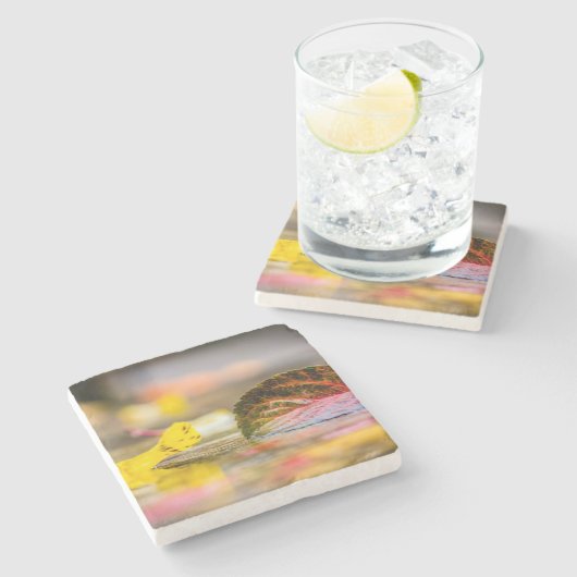 Kleuren invallen stenen onderzetter (Zijkant)