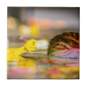 Kleuren invallen tegeltje (Voorkant)