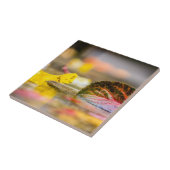 Kleuren invallen tegeltje (Zijkant)