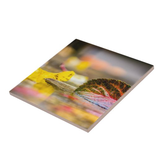 Kleuren invallen tegeltje (Zijkant)