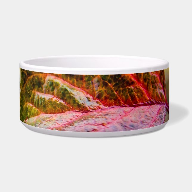 Kleuren invallen voerbakje (Rechts)