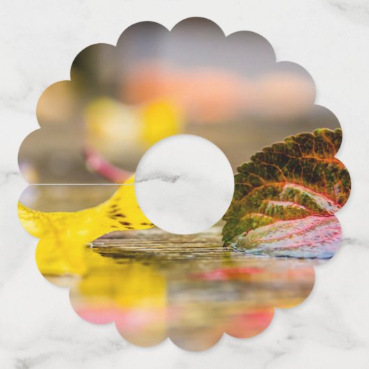 Kleuren invallen wijnglaslabel (Achterkant)