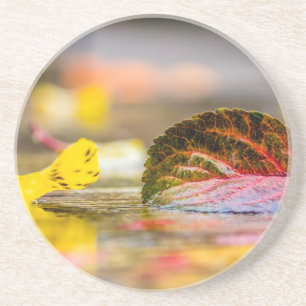 Kleuren invallen zandsteen onderzetter