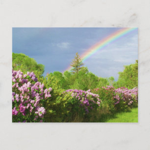 kleuren op de kaart van de natuur
