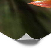 Kleuren op twig poster (Hoek)