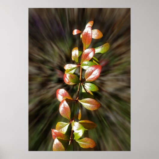 Kleuren op twig poster (Voorkant)