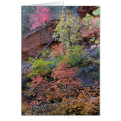 Kleuren overal omgeven (Voorkant)