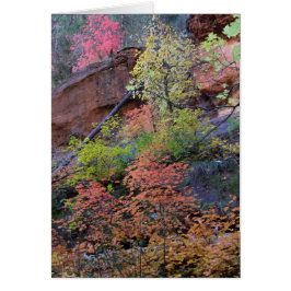 Kleuren overal omgeven