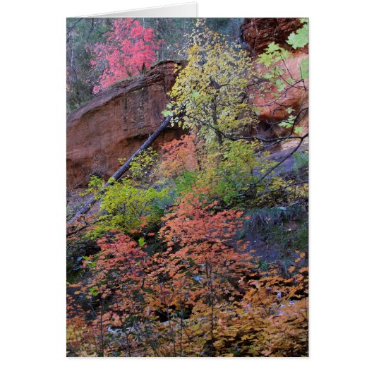 Kleuren overal omgeven (Voorkant)