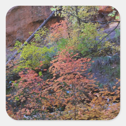 Kleuren overal omgeven vierkante sticker (Voorkant)