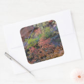 Kleuren overal omgeven vierkante sticker (Envelop)