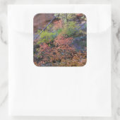 Kleuren overal omgeven vierkante sticker (Tas)