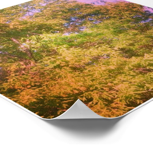 Kleuren Poster (Hoek)