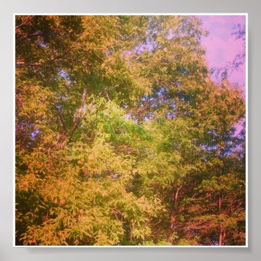 Kleuren Poster (Voorkant)