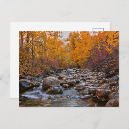 Kleuren vallen in het Ruby-gebergte Briefkaart (Voorkant / Achterkant)