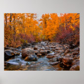 Kleuren vallen in het Ruby-gebergte Poster (Voorkant)