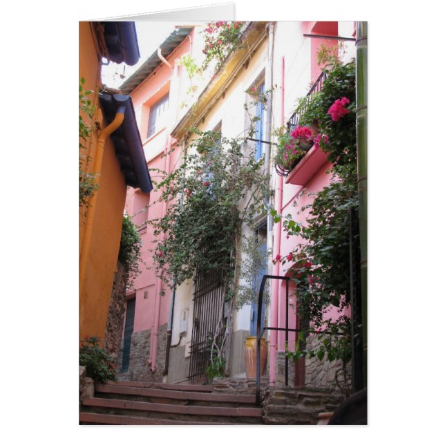 Kleuren van Collioure (Voorkant)