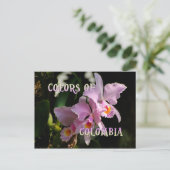 Kleuren van Colombia Cattleya Orchid Briefkaart (Staand voorkant)