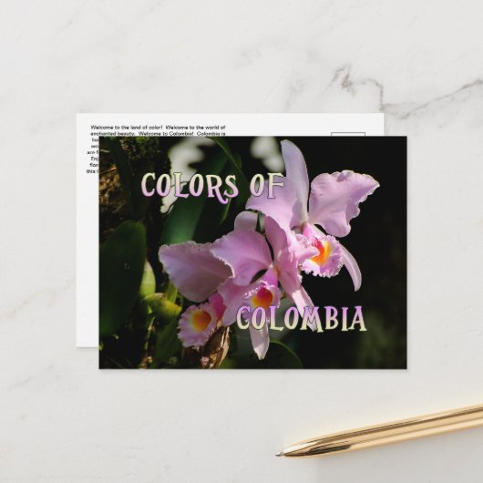 Kleuren van Colombia Cattleya Orchid Briefkaart (Voorkant / Achterkant in situ)
