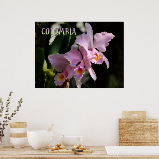 Kleuren van Colombia Orchidee Poster (Keuken)