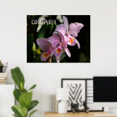 Kleuren van Colombia Orchidee Poster (Thuiskantoor)