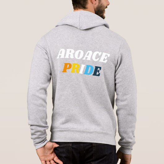 Kleuren van de AroAce Pride-vlag Hoodie (Achterkant)