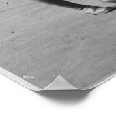 Kleuren van de beroemde 369e infanterie in de para poster (Hoek)