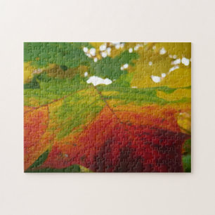 Kleuren van de esdoornblad herfst natuur fotografi legpuzzel