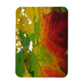 Kleuren van de esdoornblad herfst natuur fotografi magneet (Verticaal)
