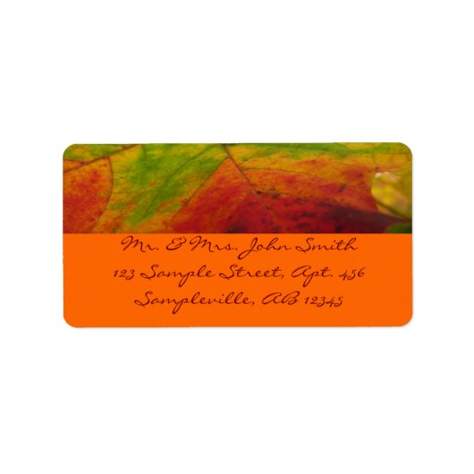 Kleuren van de Esdoornblad Herfst Natuurfotografie Etiket (Voorkant)