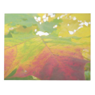 Kleuren van de Esdoornblad Herfst Natuurfotografie Notitieblok