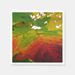 Kleuren van de Esdoornblad Herfst Natuurfotografie Servet