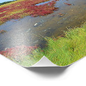 Kleuren van de foto's van Marsh Foto Afdruk (Hoek)