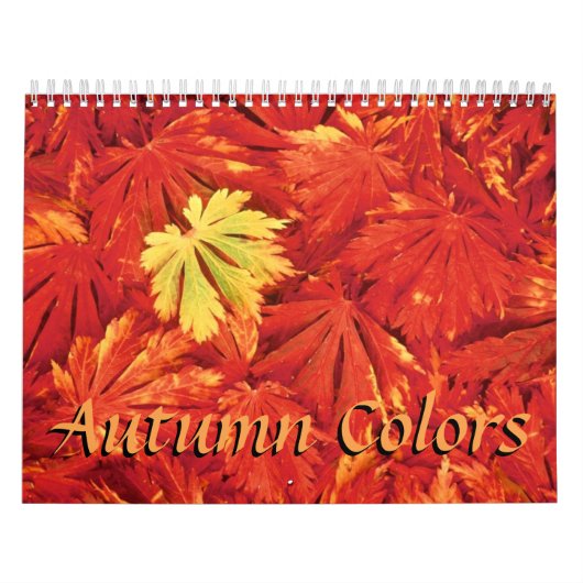 Kleuren van de herfst 2018 Kalender (Hoes)