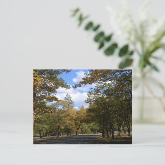 Kleuren van de Herfst... Briefkaart (Staand voorkant)