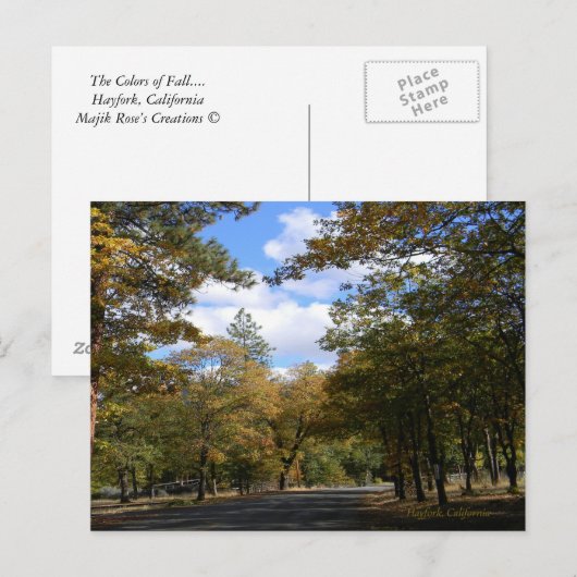 Kleuren van de Herfst... Briefkaart (Voorkant / Achterkant)