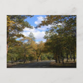 Kleuren van de Herfst... Briefkaart (Voorkant)