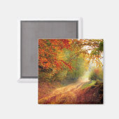 Kleuren van de herfst wijzigen magneet (Voorkant / Achterkant)