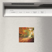 Kleuren van de herfst wijzigen magneet (Insitu (Vaatwasser))