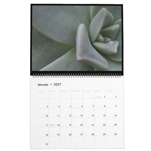 kleuren van de kalender van de natuur 2011 (Jan 2027)