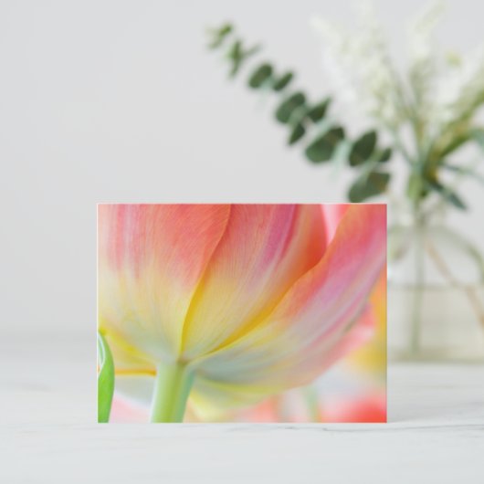 Kleuren van de lente · Briefkaart (Staand voorkant)