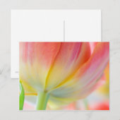 Kleuren van de lente · Briefkaart (Voorkant / Achterkant)