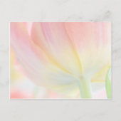 Kleuren van de lente · Save the Date Briefkaart (Achterkant)