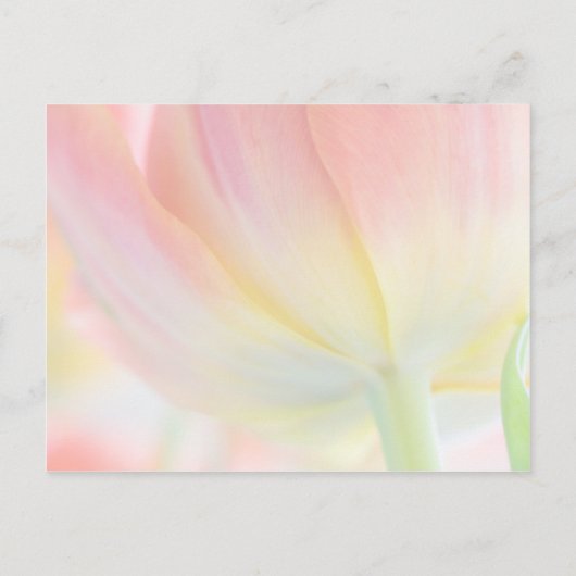 Kleuren van de lente · Save the Date Briefkaart (Achterkant)