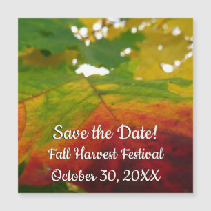 Kleuren van de Maple Leaf Autumn Save the Date
