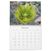 Kleuren van de Mojave 2011 Kalender (Mar 2027)