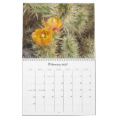 Kleuren van de Mojave 2011 Kalender (Feb 2027)