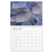 Kleuren van de Natuur Kalender (Feb 2027)