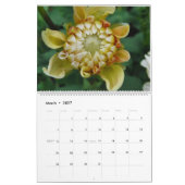 Kleuren van de Natuur Kalender (Mar 2027)