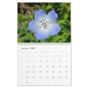 Kleuren van de Natuur Kalender (Jan 2027)